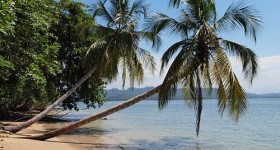 Al Parco Nazionale Cahuita la più grande barriera corallina del Costa Rica